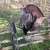 Scott Hearn651 - @user6475168442753 - TikTok