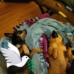 Scott Hearn - @scott.hearn.142 - Instagram