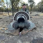 Scott Heasley - @scott.heasley - Instagram