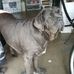Scott Heeter - Facebook