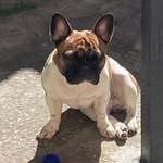 @scott_heitor_duke - Instagram