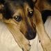 Scott Helgeson - Facebook