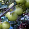 scotthelmer6 - @scotthelmer6 - TikTok
