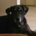 Scott Helmich - Facebook