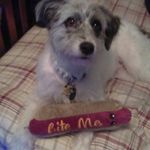 Scott Helsel - @thescotthelsel - Instagram