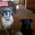 Scott B Helverson - @bsh96sun - Instagram