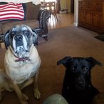 Scott Helverson - @scott.helverson - Instagram