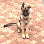 @scott_c_hembree - Instagram