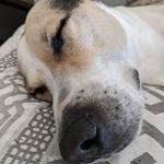 scott hembree - @scott.hembree - Instagram