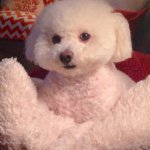 Scott Hembree - @scotth635 - Instagram