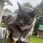 Scott Hembree - @scotty_h3 - Instagram