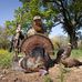 Scott Heminger - Facebook