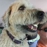 Scott Hendrix - @usacapable - Instagram
