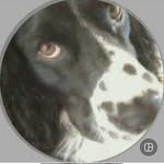 Scott Heptinstall - @scottheptinstal - Instagram