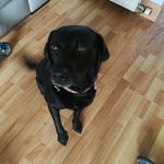 scott herd - @_scott_herd_ - Instagram