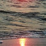 Scott Herendeen - @scott_herendeen_ - Instagram