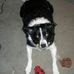 Scott Robert Herendeen - Facebook