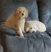 Scott Herold - Facebook