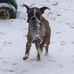 Scotty Herren - Facebook