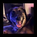 Scott Hester - @hester.s11 - Instagram