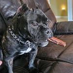 Scott Hester - @bamabred73 - Instagram