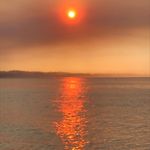 Scott Hester - @scottlhester - Instagram