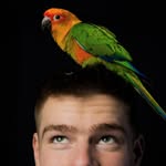 Scott Hibler - @scottwashere2 - Instagram