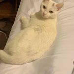 Nathan Scott Hight - @nathanhight2 - Instagram
