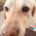 Scott Hile - @scottahile - Instagram