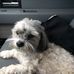 Scott Hilpert - Facebook