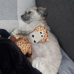 Scott Hilpert - @hilpert04 - Instagram