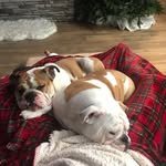 Scott Hoffmann - @sthoffmann - Instagram