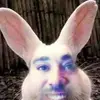 scotthoffmann5 - @scotthoffmann5 - TikTok