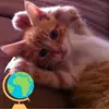 Scott Hofmann - @scott.hofmann7 - TikTok