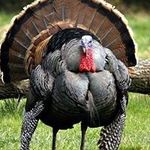 Scott Holbert - @holbertscott - Instagram