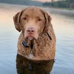 Scott Hollern - @scottearlhollern - Instagram