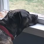 Scott Holley - @scott_holley57 - Instagram