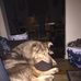 Scott Hollon - Facebook