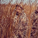 Scott - @scott_holm - Instagram
