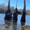 Scott🦆 - @scottholston8 - TikTok