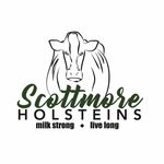 @scottmore_holsteins - Instagram