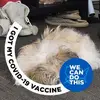 Scot Thoman - @scot.thoman6 - TikTok
