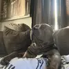 Scott Allen Homans - @scott.allen.homan - TikTok