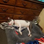 Scott Huckabee - @huck449499 - Instagram