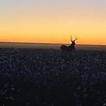 Scott Huffaker - @s_huffaker63 - Instagram
