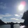 Scott Hung - @30404798961 - TikTok
