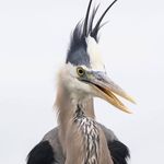 Scott Hunsicker - @dugganbayside - Instagram