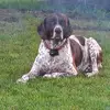 hunter Scott - @hunter.scott66 - TikTok
