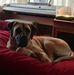Scott Hurless - Facebook