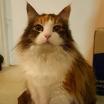 Scott Hurt - @mscotthurt - Instagram